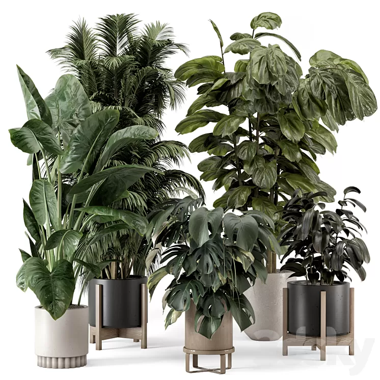 Indoor Plants in Ferm Living Bau Pot Large - Set 1361 3D Model Free