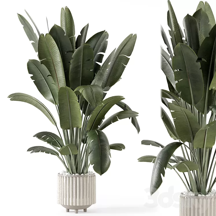 Indoor Plants in Ferm Living Bau Pot Large - Set 1448 3D Model Free