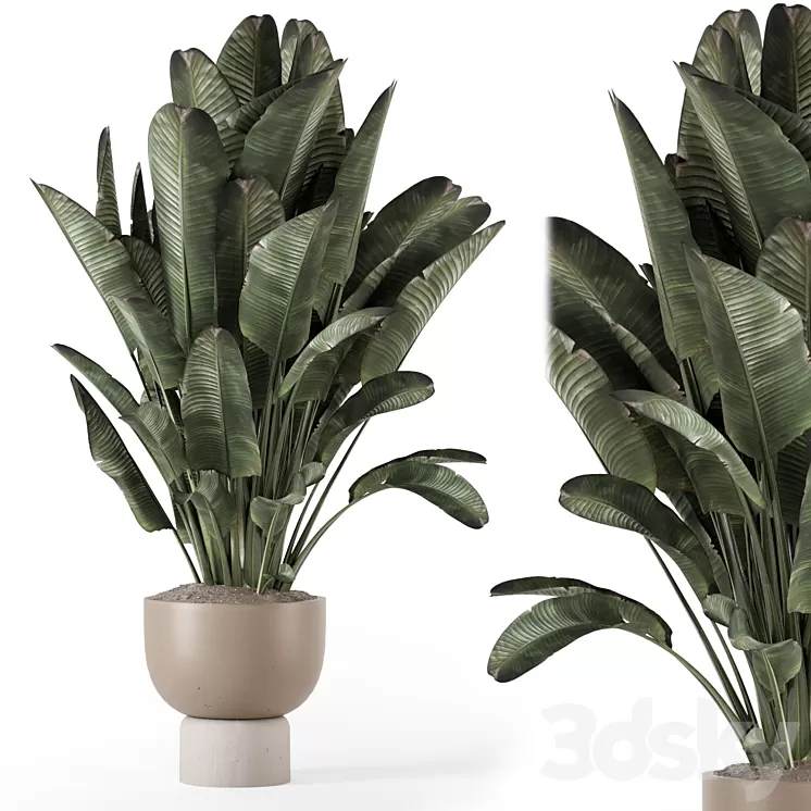 Indoor Plants in Ferm Living Bau Pot Large - Set 1507 3D Model Free