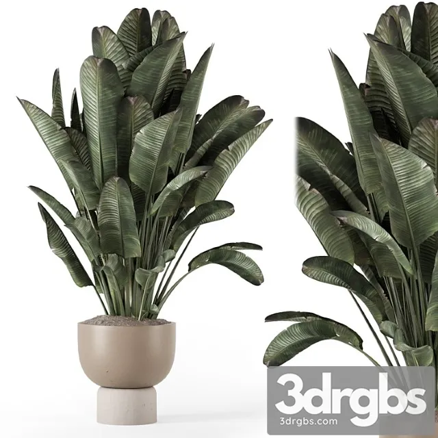 Indoor plants in ferm living bau pot large - set 1507