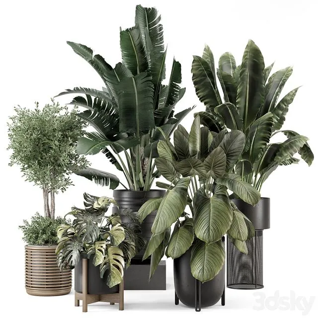 Indoor Plants in Ferm Living Bau Pot Large - Set 1665 3D Model