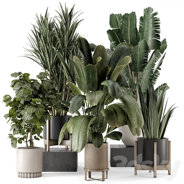 Indoor Plants in Ferm Living Bau Pot Large - Set 1782 3D Model