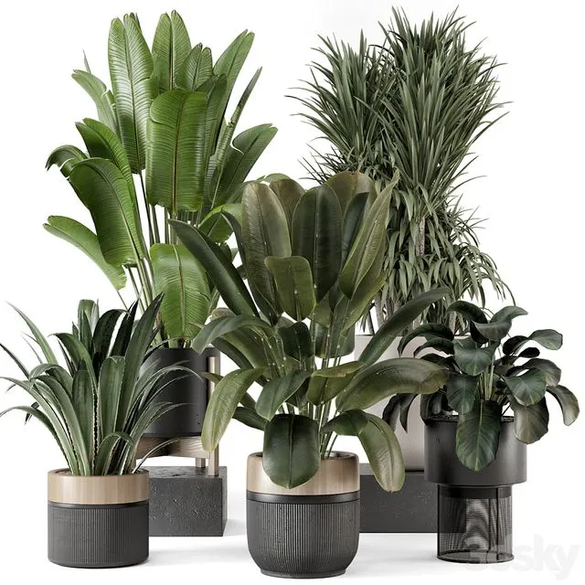 Indoor Plants in Ferm Living Bau Pot Large - Set 1947 3D Model