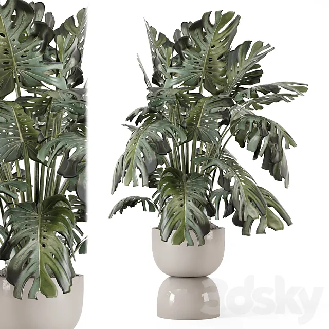 Indoor Plants in Ferm Living Bau Pot Large – Set 2160 3D Model