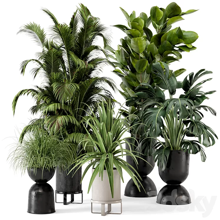 Indoor Plants in Ferm Living Bau Pot Large - Set 220 3D Model