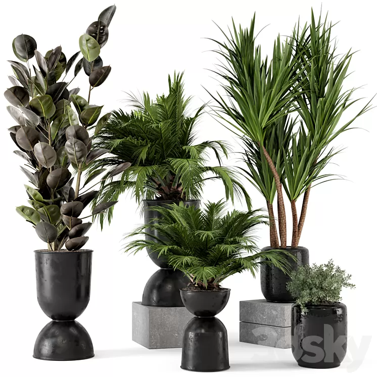Indoor Plants in Ferm Living Bau Pot Large - Set 226 3D Model