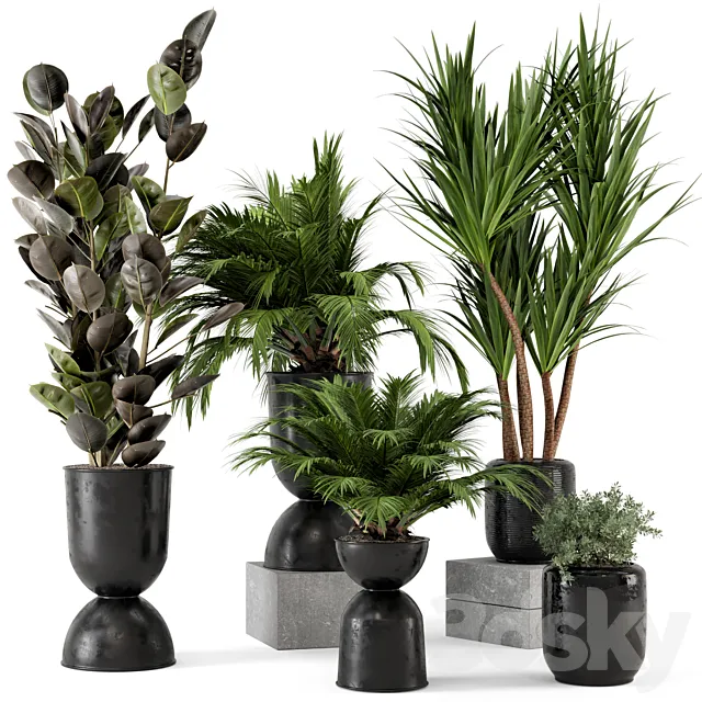 Indoor Plants in Ferm Living Bau Pot Large - Set 226 3DModel