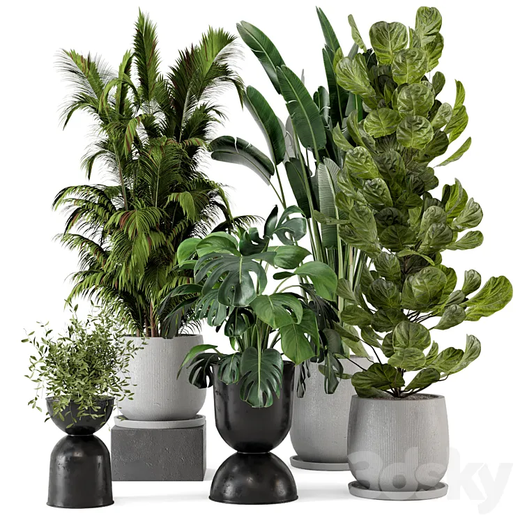 Indoor Plants in Ferm Living Bau Pot Large - Set 230 3D Model Free