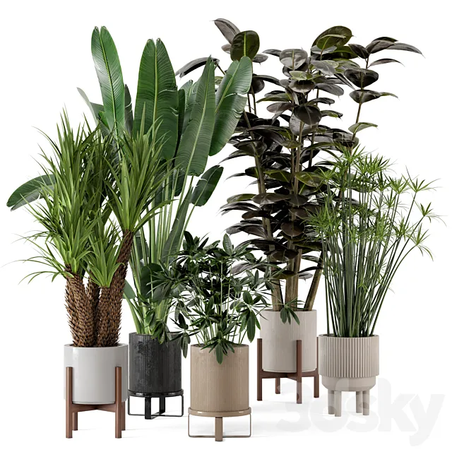Indoor Plants in Ferm Living Bau Pot Large - Set 235 3D Model