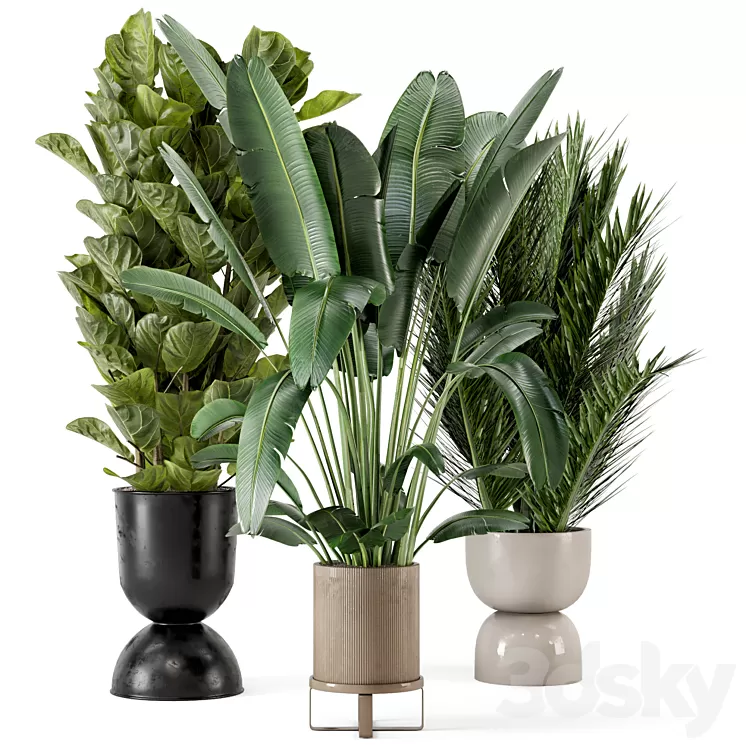Indoor Plants in Ferm Living Bau Pot Large - Set 273 3D Model Free