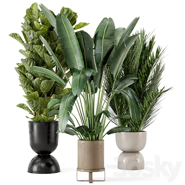 Indoor Plants in Ferm Living Bau Pot Large - Set 273 3DModel
