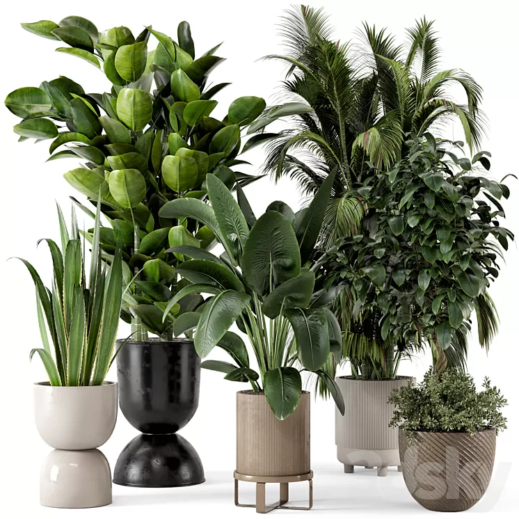 Indoor Plants in Ferm Living Bau Pot Large - Set 290 3D Model Free