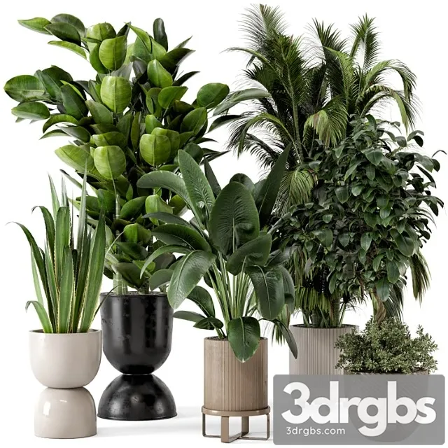Indoor plants in ferm living bau pot large - set 290