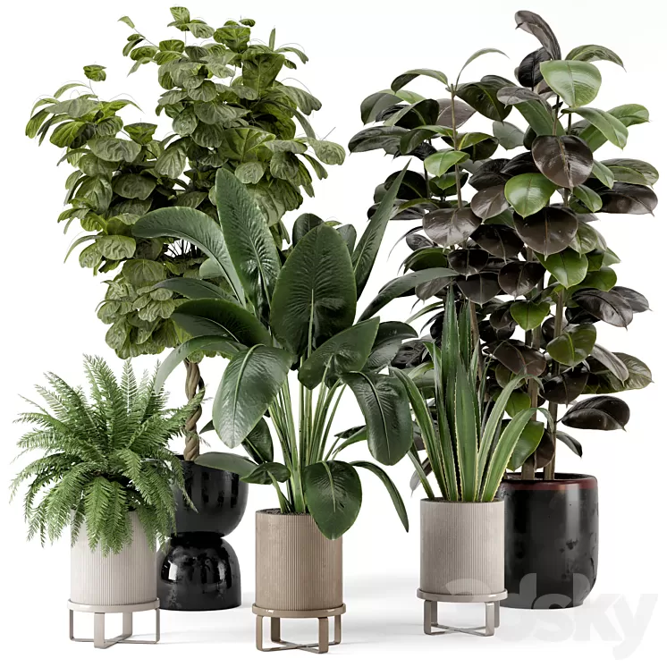 Indoor Plants in Ferm Living Bau Pot Large - Set 299 3D Model Free