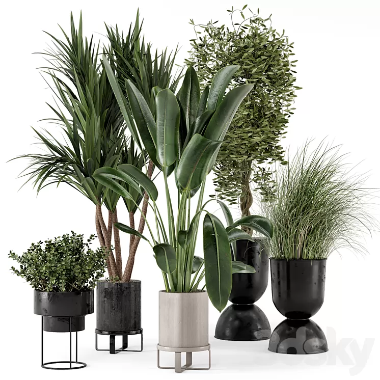 Indoor Plants in Ferm Living Bau Pot Large - Set 312 3D Model