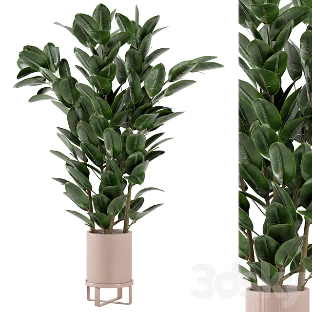 Indoor Plants in Ferm Living Bau Pot Large - Set 346 3D Model