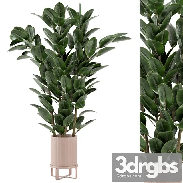 Indoor plants in ferm living bau pot large - set 346