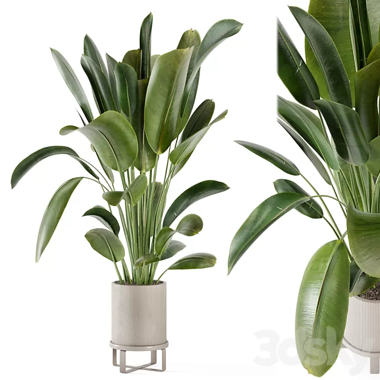 Indoor Plants in Ferm Living Bau Pot Large - Set 378 3D Model Free