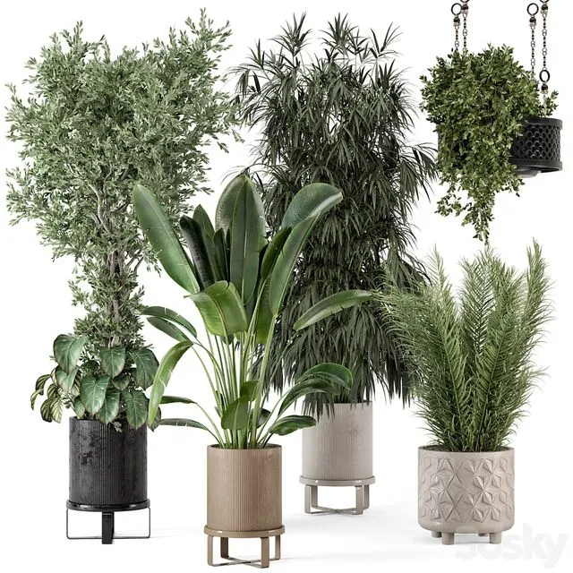 Indoor Plants in Ferm Living Bau Pot Large Set 474 3D Model