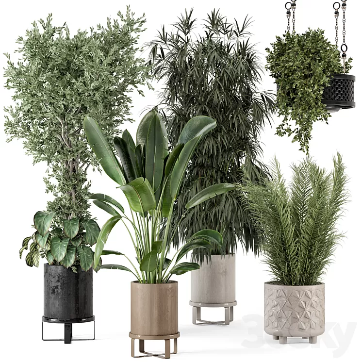 Indoor Plants in Ferm Living Bau Pot Large - Set 474 3D Model Free