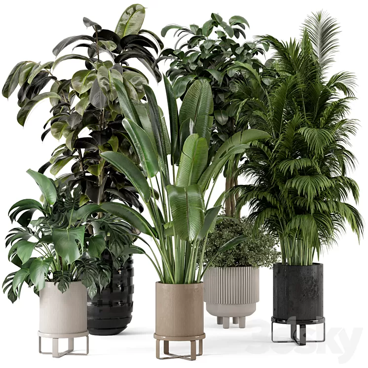 Indoor Plants in Ferm Living Bau Pot Large - Set 548 3D Model Free