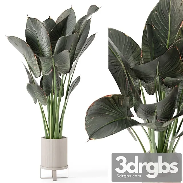Indoor plants in ferm living bau pot large - set 555