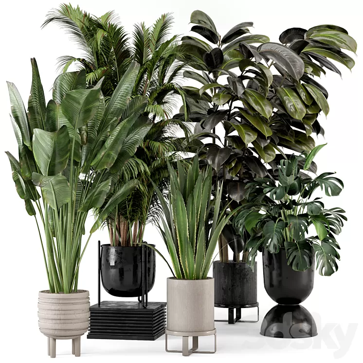 Indoor Plants in Ferm Living Bau Pot Large - Set 572 3D Model Free