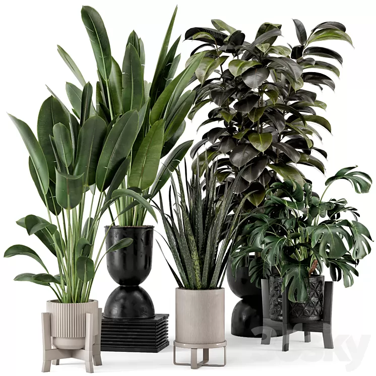 Indoor Plants in Ferm Living Bau Pot Large - Set 583 3D Model Free
