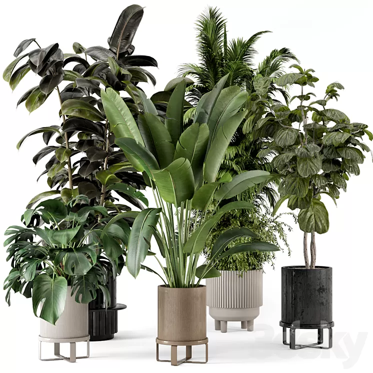 Indoor Plants in Ferm Living Bau Pot Large - Set 734 3D Model Free