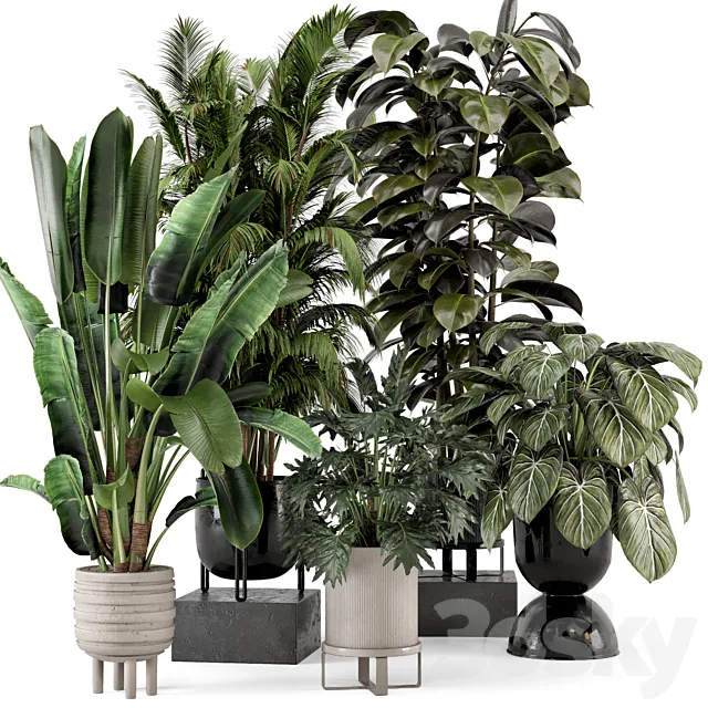 Indoor Plants in Ferm Living Bau Pot Large - Set 740 3D Model