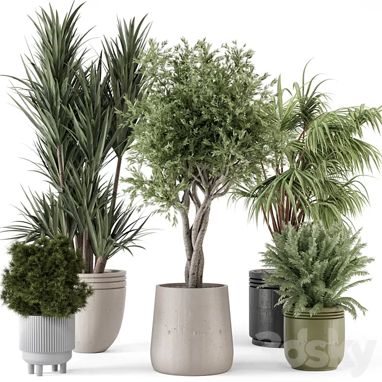 Indoor Plants in Ferm Living Bau Pot Large - Set 817 3D Model Free