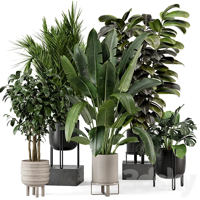 Indoor Plants in Ferm Living Bau Pot Large - Set 879 3D Model