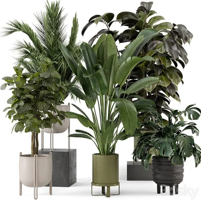 Indoor Plants in Ferm Living Bau Pot Large - Set 976 3D Model