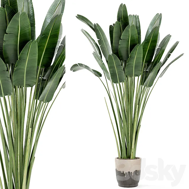 Indoor Plants In Handmade Glazed pot - Set 190 3D Model