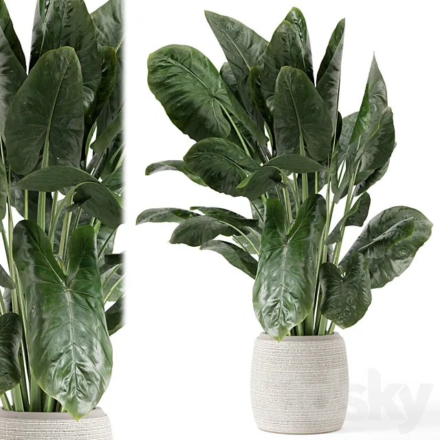 Indoor Plants in Handmade Stone Pot - Set 1797 3D Model