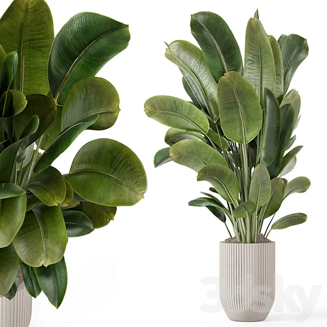 Indoor Plants in Handmade Stone Pot - Set 1850 3D Model