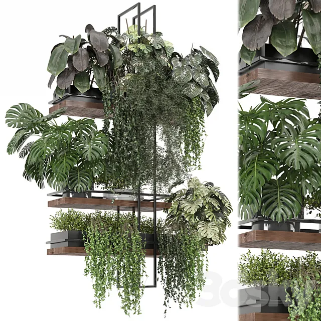 indoor plants in metal box _ Set hanging 1104 3D Model