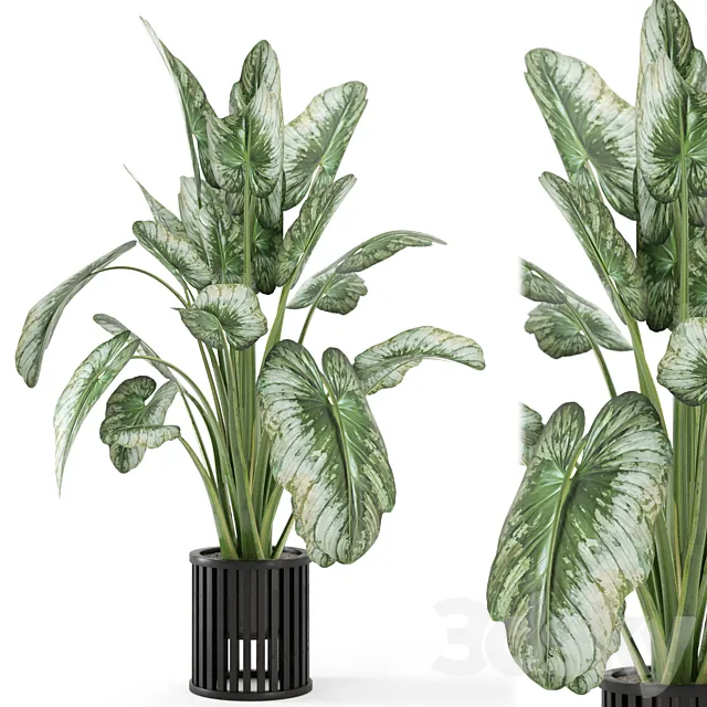 Indoor Plants in Metal Pot - Set 842 3D Model