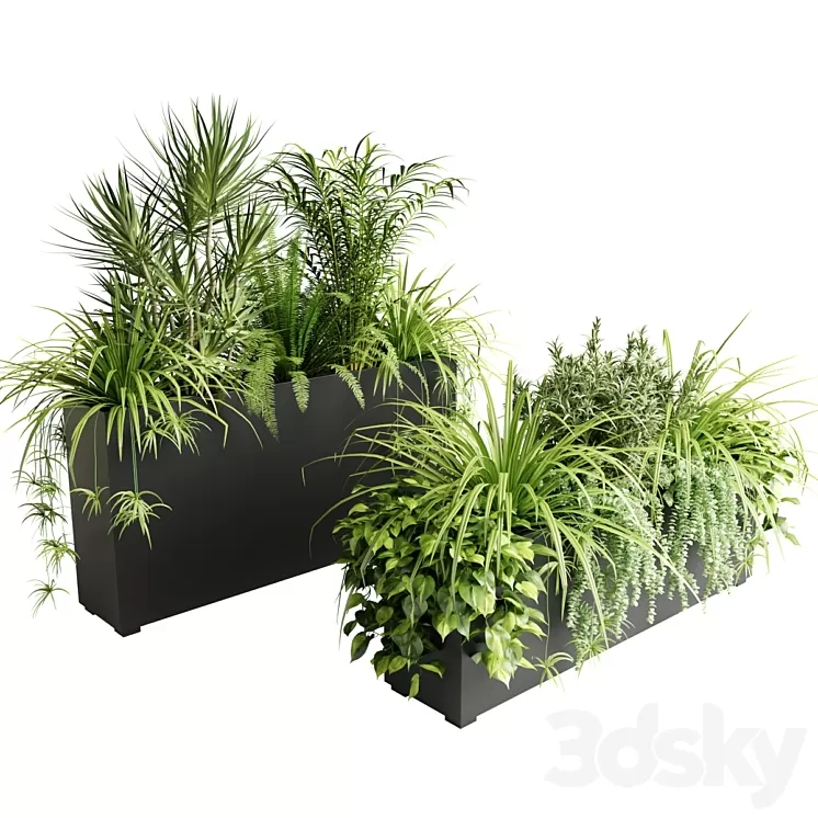 Indoor plants in outdoor boxes 3D Model Free