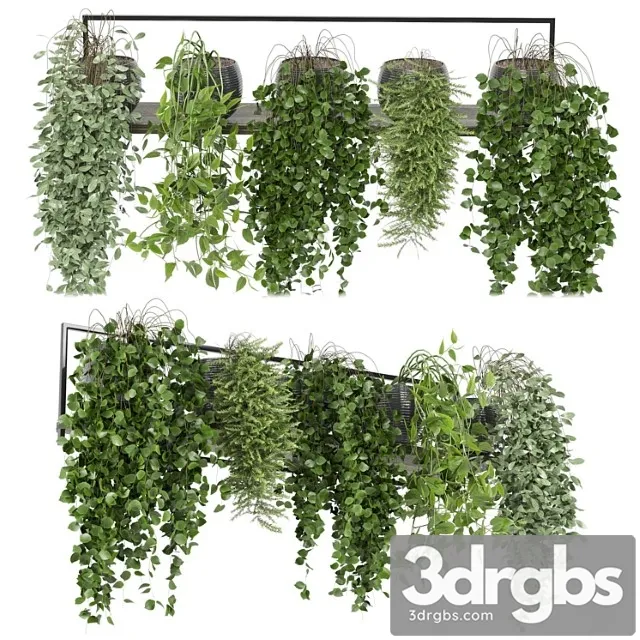 Indoor plants in rusty concrete pot on metal shelf - set 0088