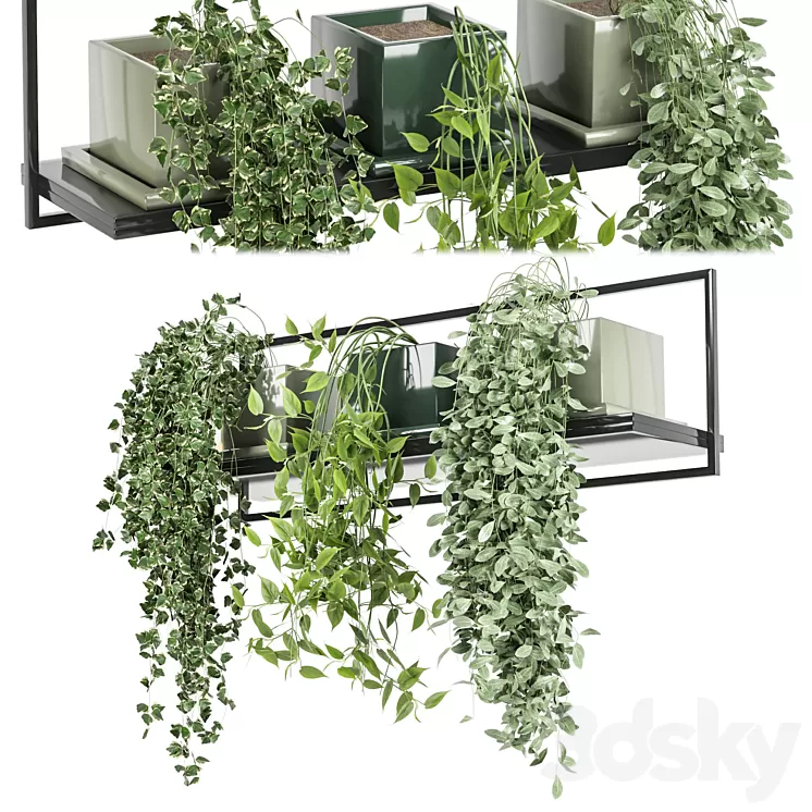 indoor plants in rusty concrete pot on metal shelf - Set 107 3D Model