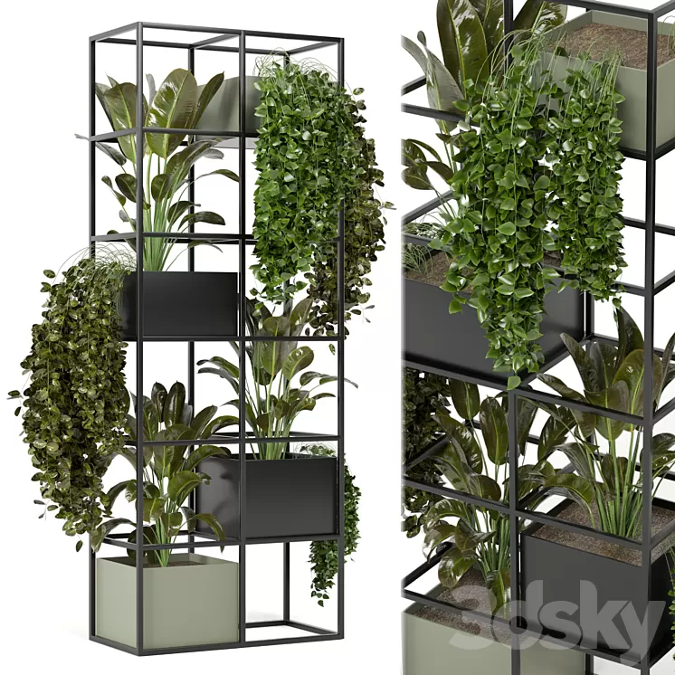 indoor plants in rusty concrete pot on metal shelf - Set 122