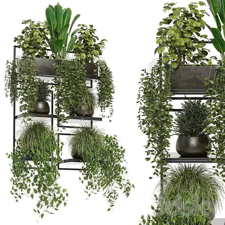 indoor plants in rusty concrete pot on metal shelf – Set 207 3D Model