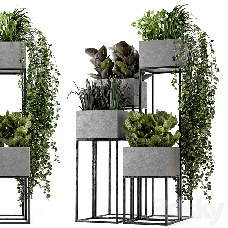 Indoor Plants in rusty Concrete Pot on Metal Shelf - Set 221