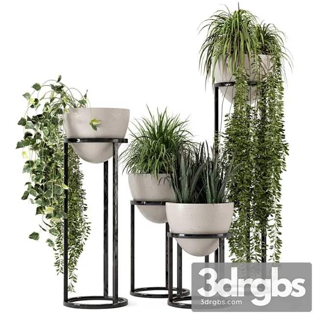 Indoor plants in rusty concrete pot on metal shelf - set 231