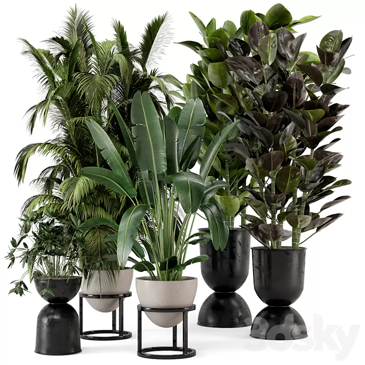Indoor Plants in rusty Concrete Pot on Metal Shelf - Set 242 3D Model
