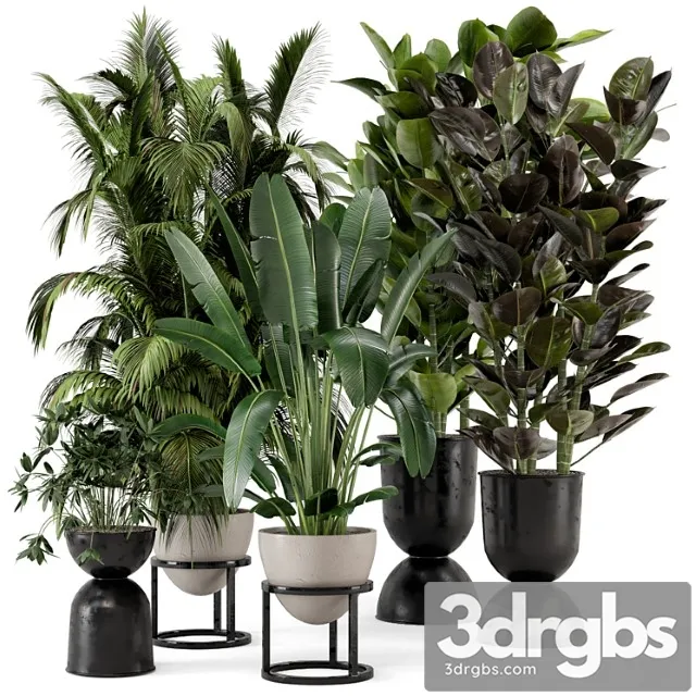 Indoor plants in rusty concrete pot on metal shelf - set 242