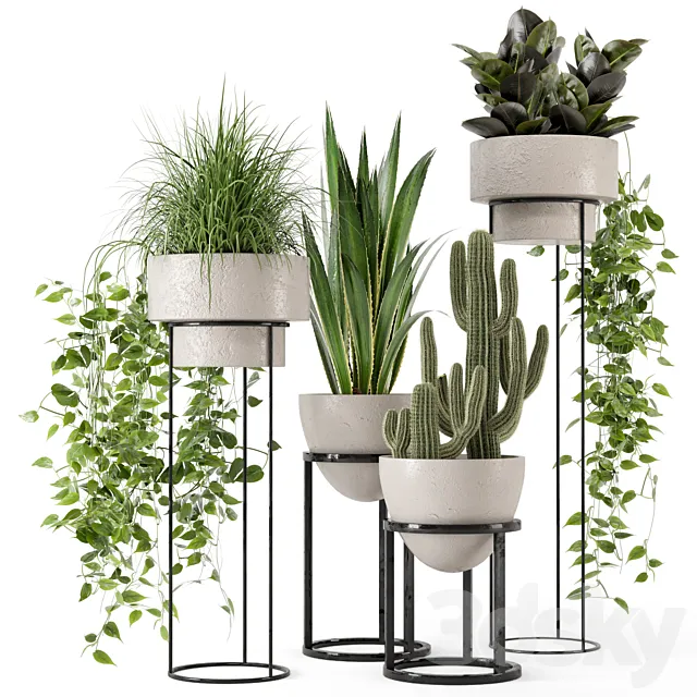 Indoor Plants in rusty Concrete Pot on Metal Shelf - Set 327 3D Model