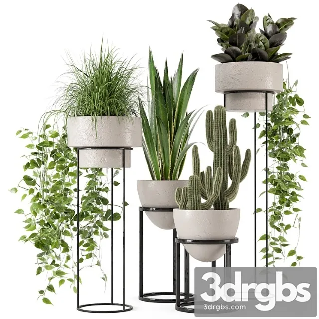 Indoor plants in rusty concrete pot on metal shelf - set 327