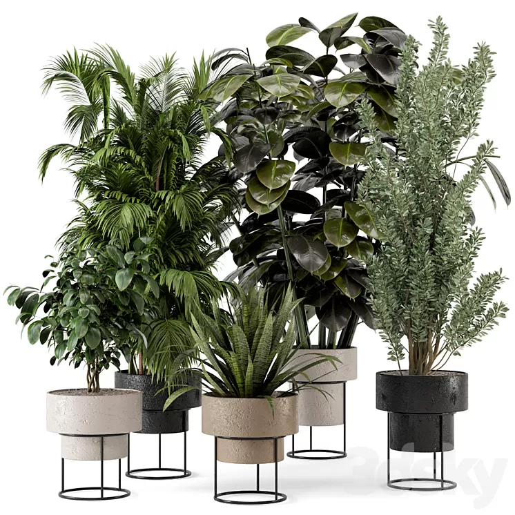 Indoor Plants in rusty Concrete Pot on Metal Shelf - Set 328 3D Model